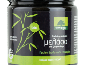 Μελάσα από Ζαχαροκάλαμο Bio Evergreen (550g)