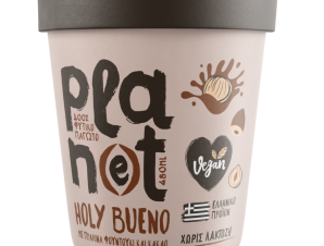 Παγωτό Holy Bueno Plan(e)t (480ml)